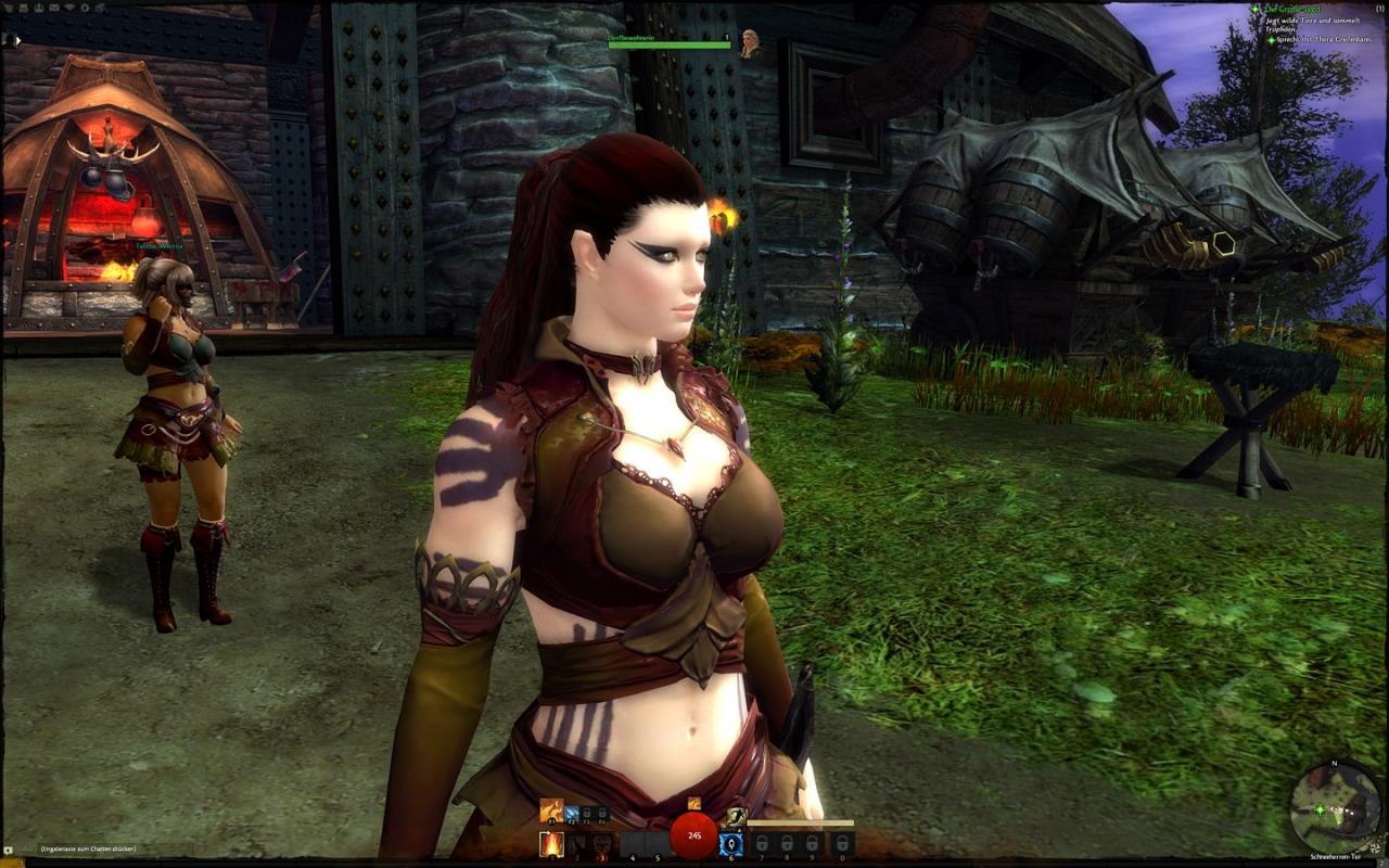 [23/07/2012] Guild Wars 2: Die Startgebiete der fünf Rasse mit Downsampling im Überblick (134)