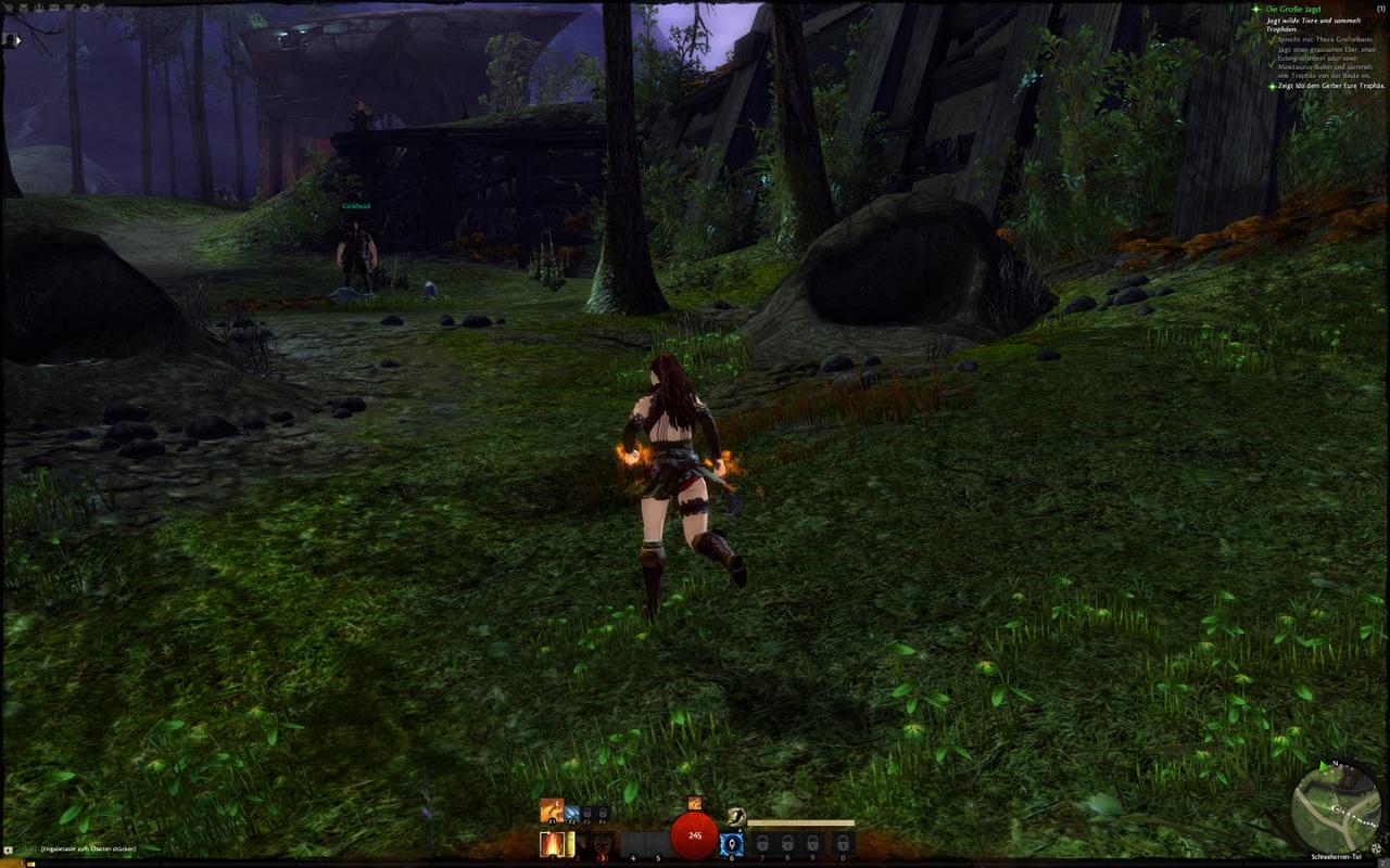 [23/07/2012] Guild Wars 2: Die Startgebiete der fünf Rasse mit Downsampling im Überblick (141)