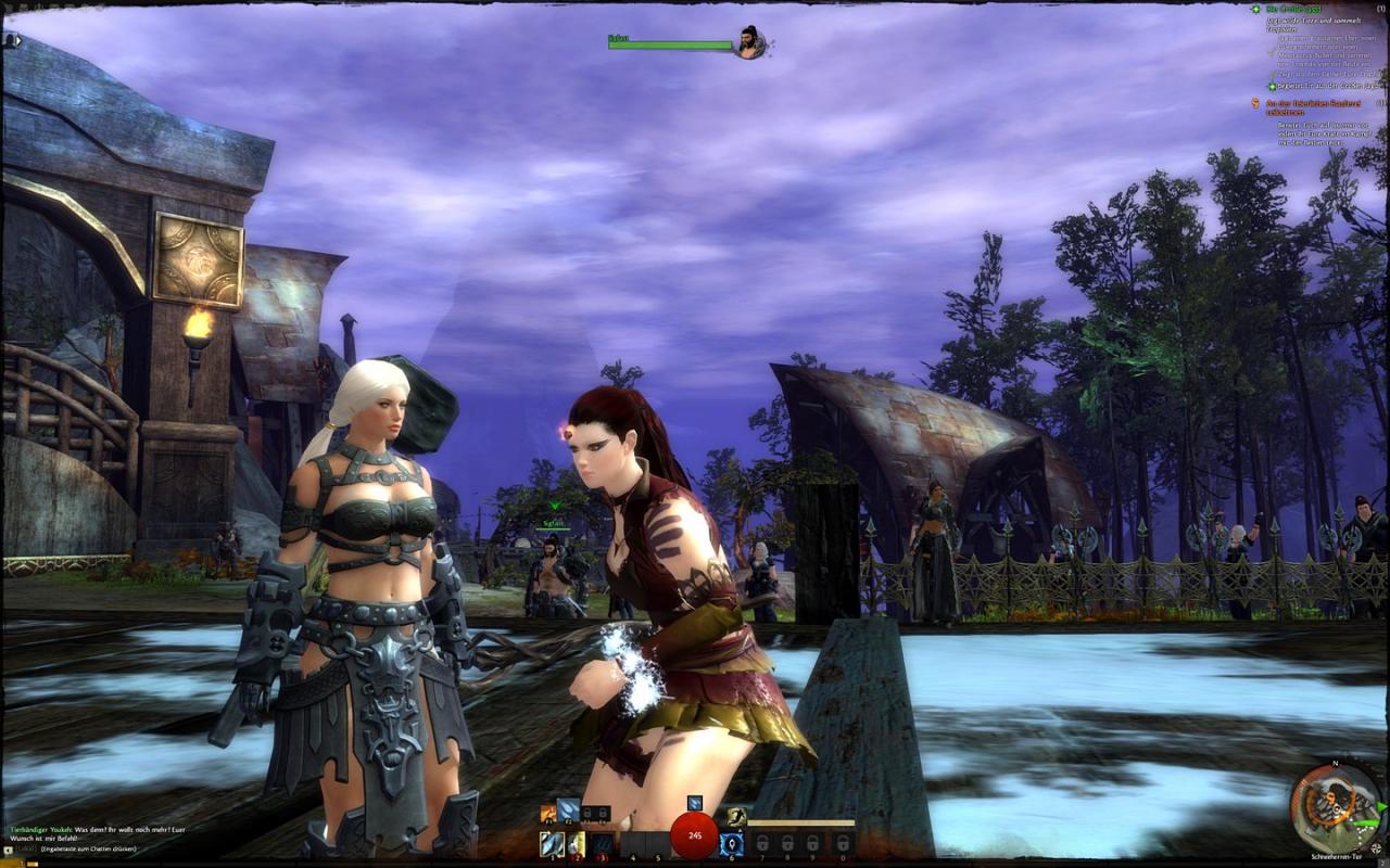 [23/07/2012] Guild Wars 2: Die Startgebiete der fünf Rasse mit Downsampling im Überblick (147)