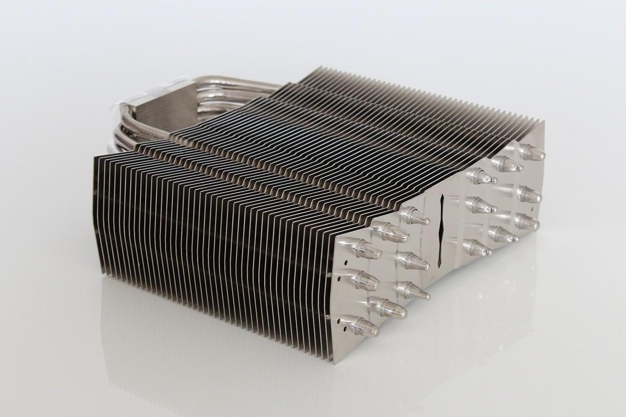 [06/07/2012] Update vom 07.07.: Macho nass gemacht, Kühler im Nebel und im Klee (73)