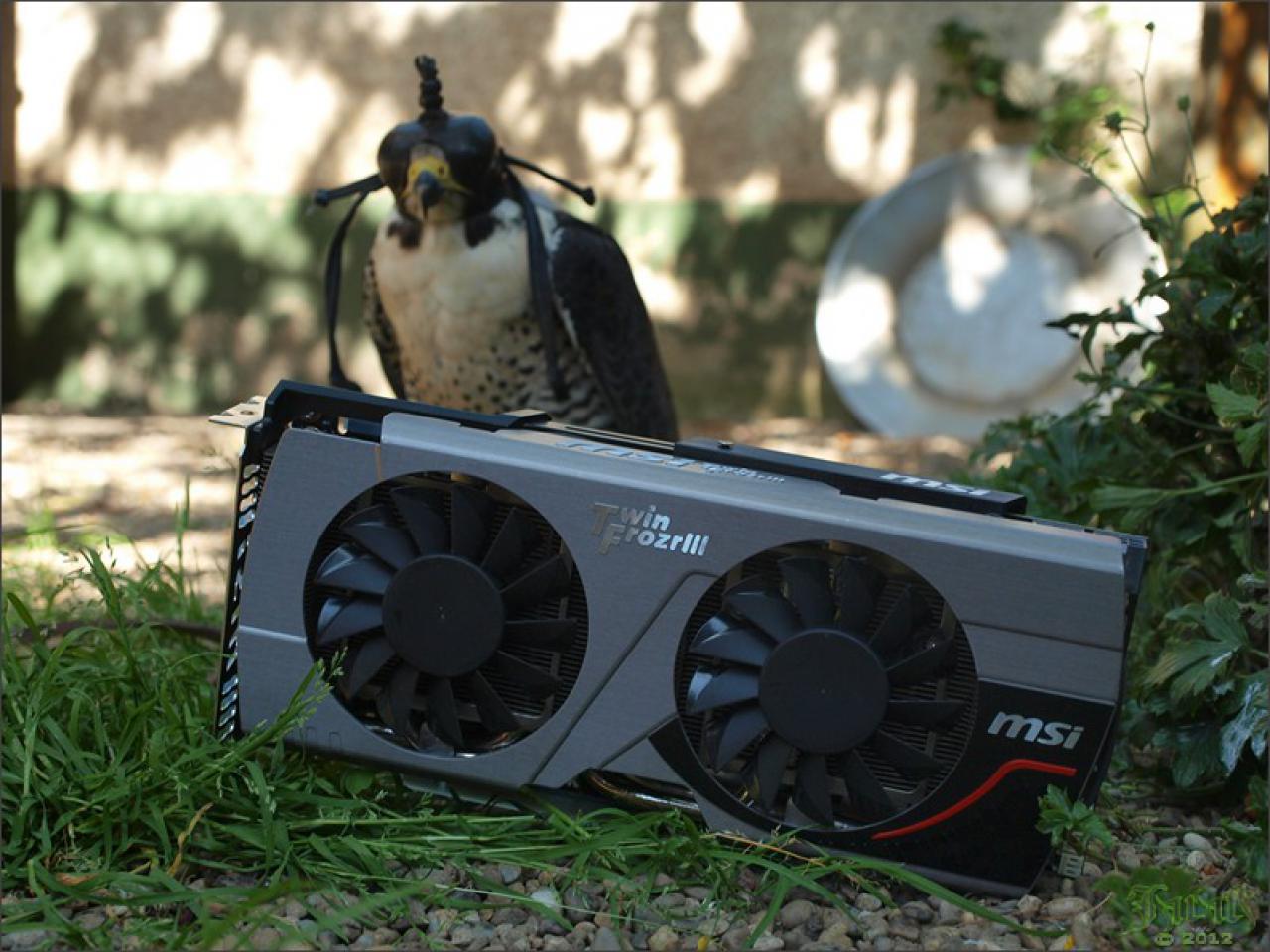 [19/07/2012] PC-Hardware trifft auf Naturgewalten: Die besten Bilder von Jarafi (21)