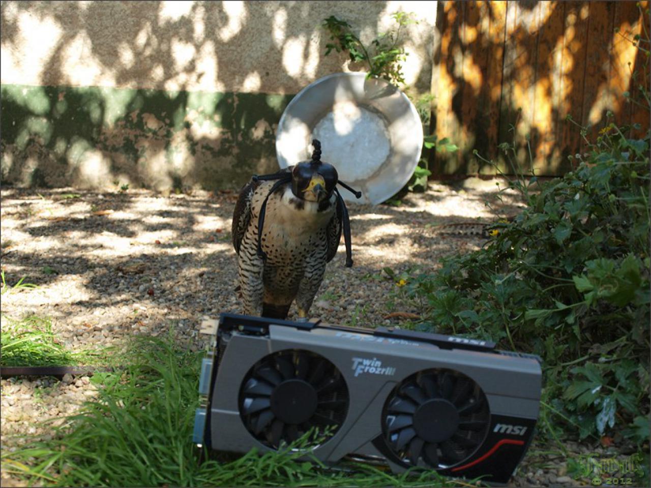 [19/07/2012] PC-Hardware trifft auf Naturgewalten: Die besten Bilder von Jarafi (22)