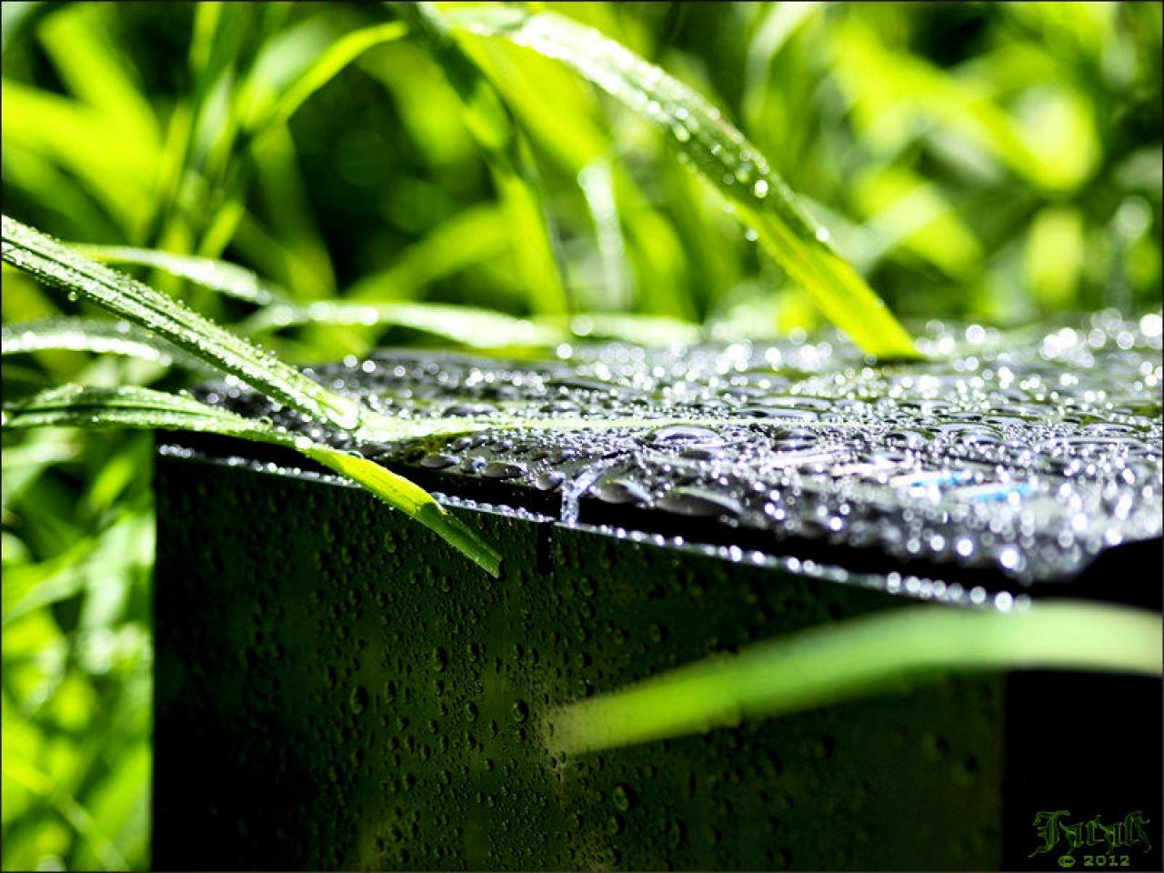 [19/07/2012] PC-Hardware trifft auf Naturgewalten: Die besten Bilder von Jarafi (23)