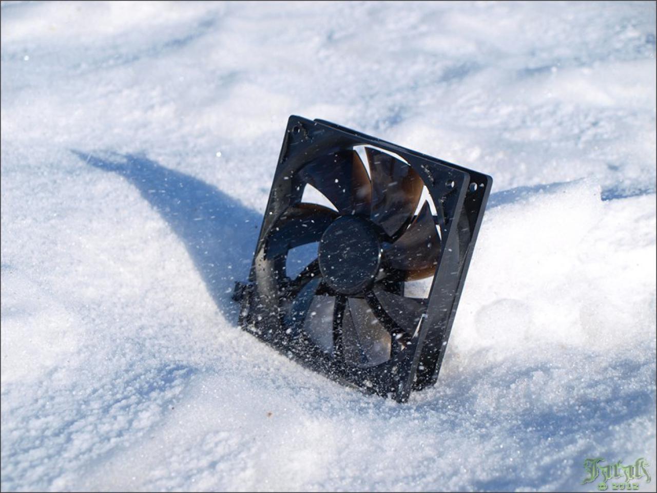 [19/07/2012] PC-Hardware trifft auf Naturgewalten: Die besten Bilder von Jarafi (37)