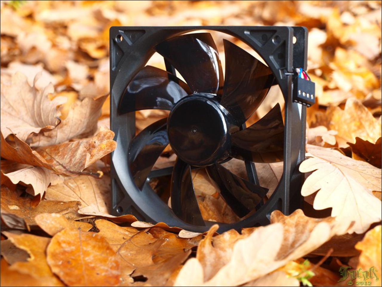 [19/07/2012] PC-Hardware trifft auf Naturgewalten: Die besten Bilder von Jarafi (42)