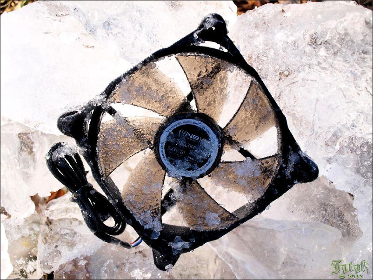 [19/07/2012] PC-Hardware trifft auf Naturgewalten: Die besten Bilder von Jarafi (48)