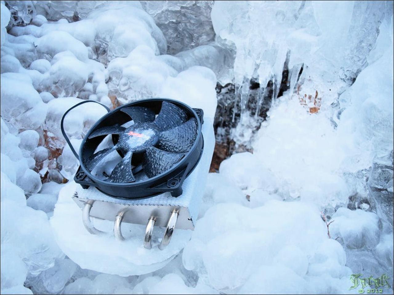 [19/07/2012] PC-Hardware trifft auf Naturgewalten: Die besten Bilder von Jarafi (61)