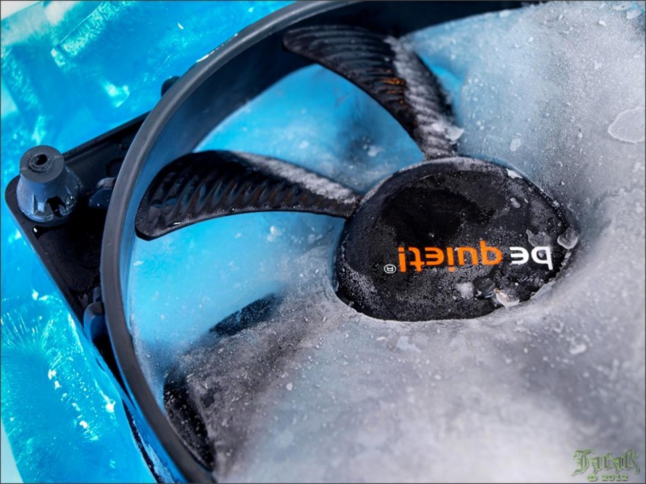 [19/07/2012] PC-Hardware trifft auf Naturgewalten: Die besten Bilder von Jarafi (67)