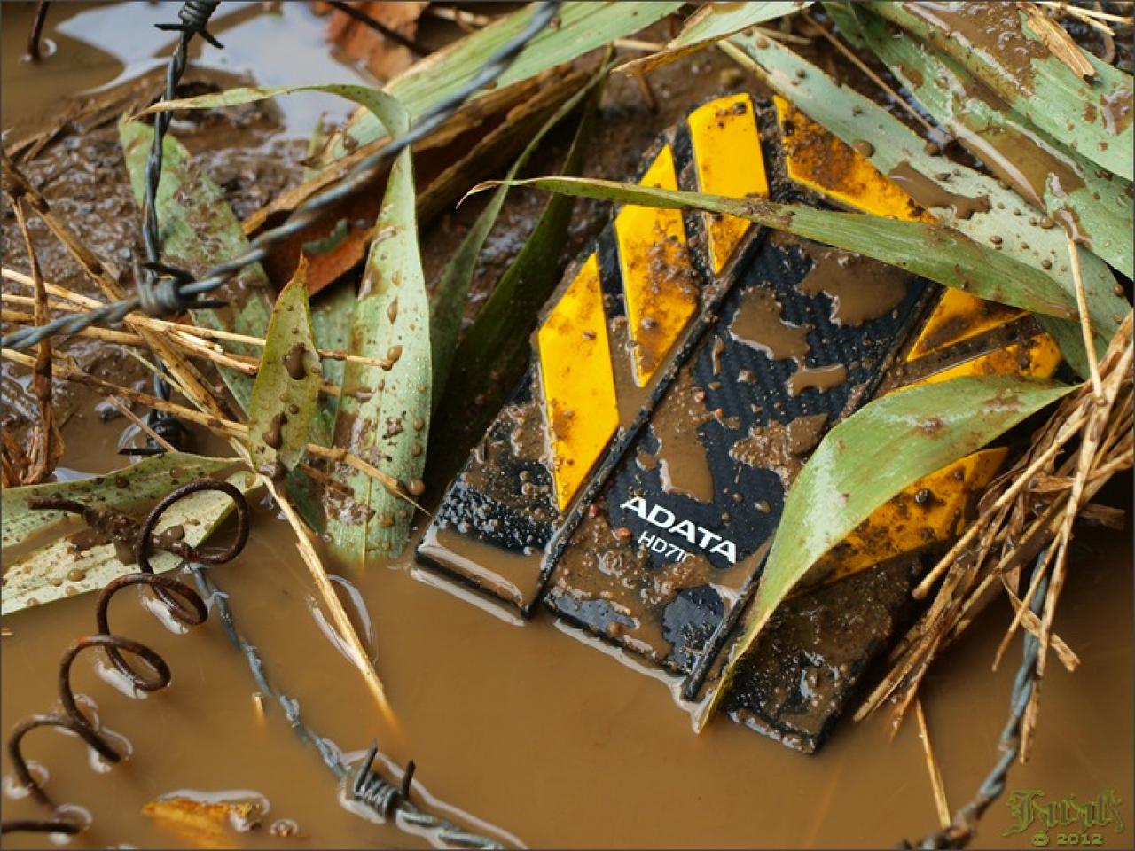 [19/07/2012] PC-Hardware trifft auf Naturgewalten: Die besten Bilder von Jarafi (74)
