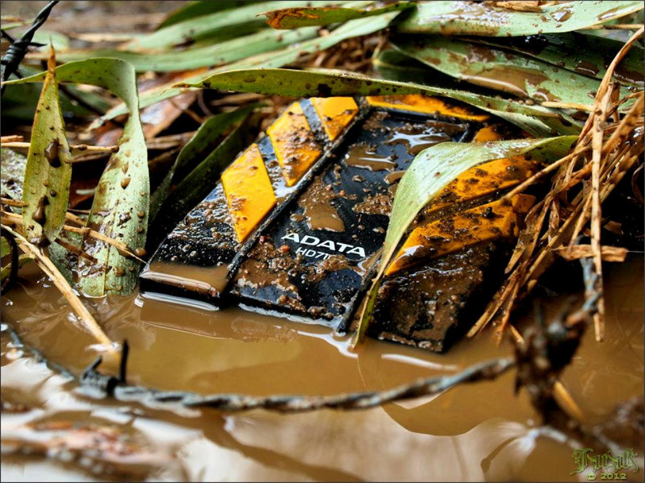 [19/07/2012] PC-Hardware trifft auf Naturgewalten: Die besten Bilder von Jarafi (75)