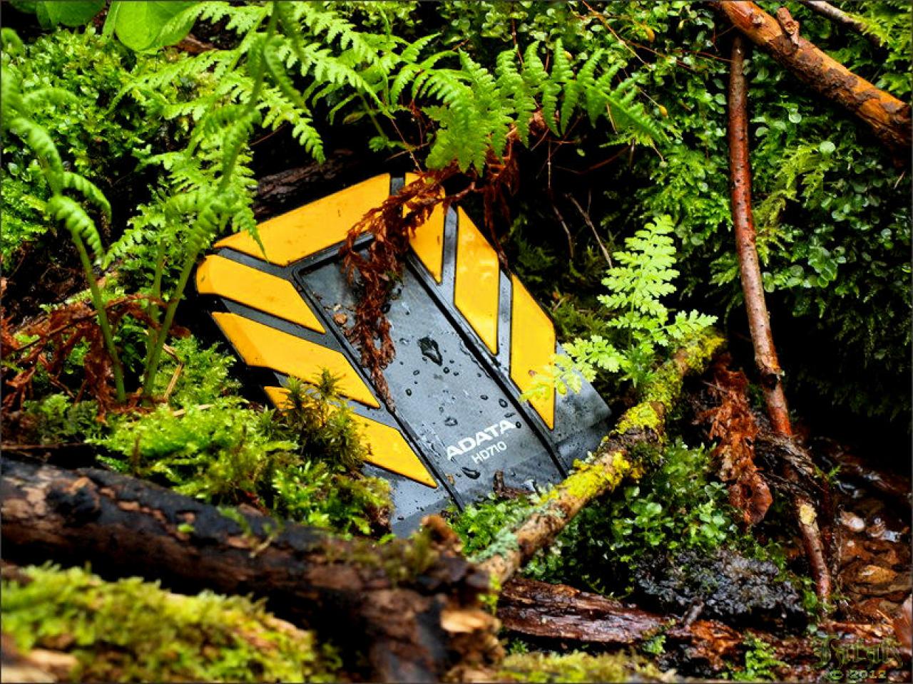 [19/07/2012] PC-Hardware trifft auf Naturgewalten: Die besten Bilder von Jarafi (81)