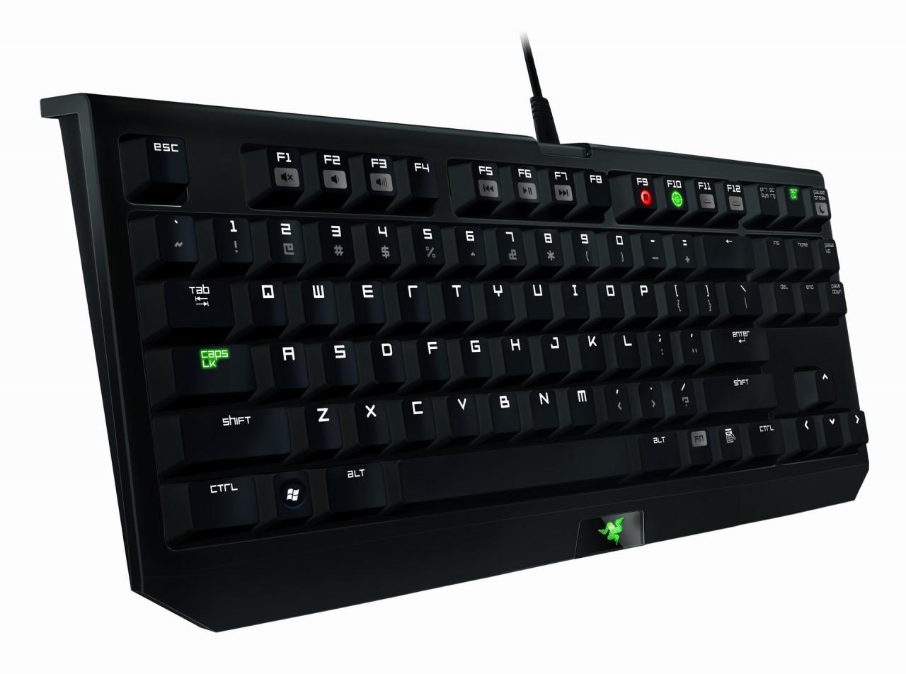 [26/07/2012] Razer Black Window Tournament Edition (3)