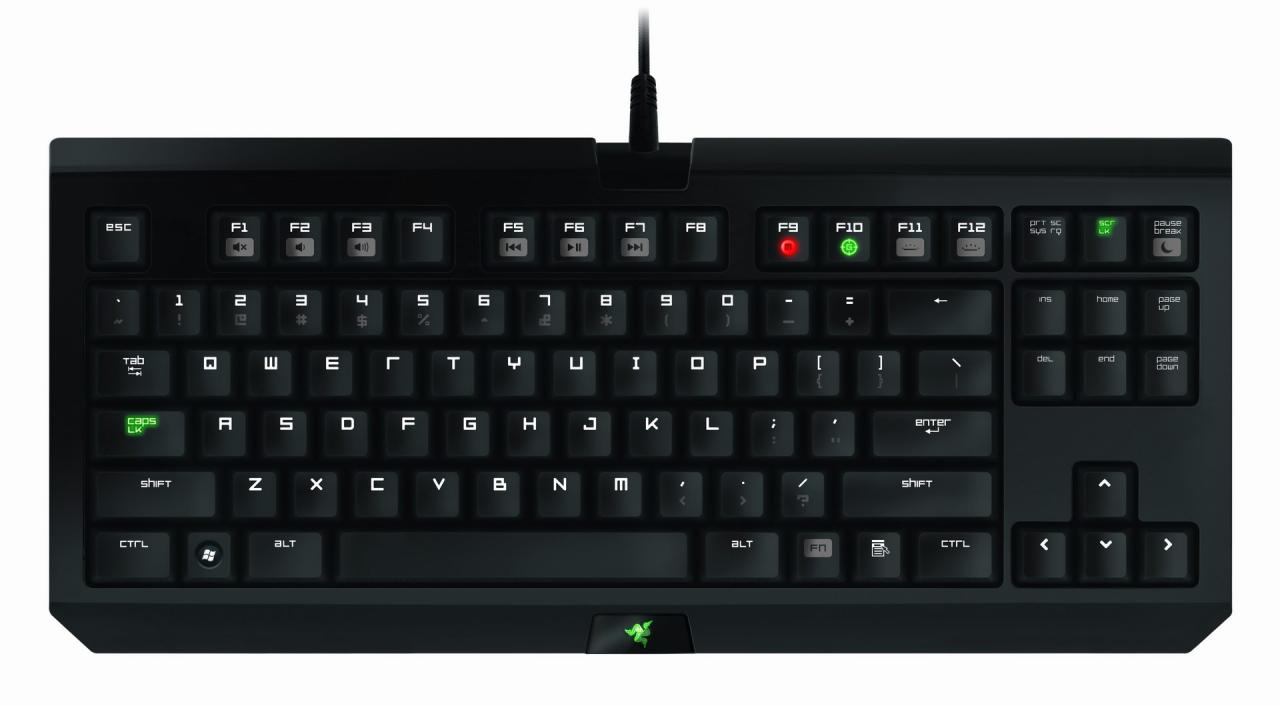 [26/07/2012] Razer Black Window Tournament Edition (5)