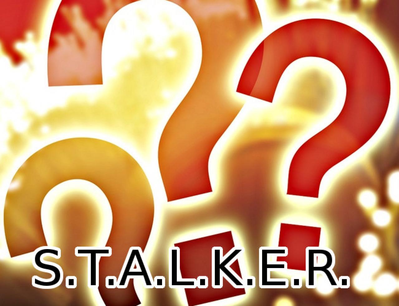 [06/07/2012] Seit Mitte August hoffen Fans auf einen echten zweiten Teil von S.T.A.L.K.E.R. Ob es den geben wird, werden wir wie beim Duke wohl erst am Release-Date erfahren. In der Zwischenzeit würden wir gerne wissen, wofür die Abkürzung eigentlich steht.