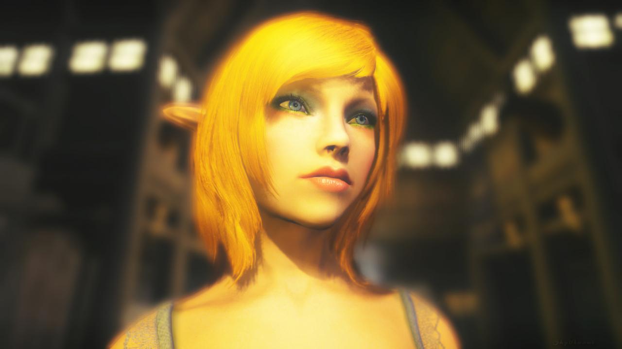 [03/07/2012] Skyrim: Diverse Künstler, gesammelt von DSO Gaming (9)