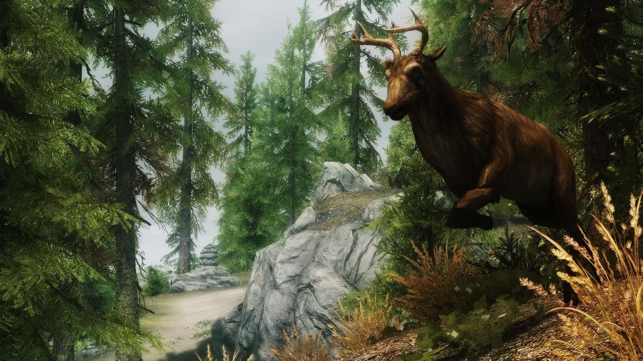 [03/07/2012] Skyrim by Unreal (2)