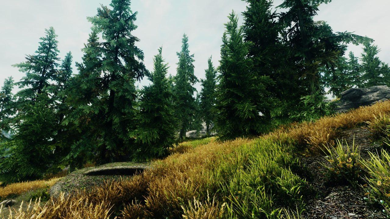 [18/08/2012] Skyrim by dpeasant (27)