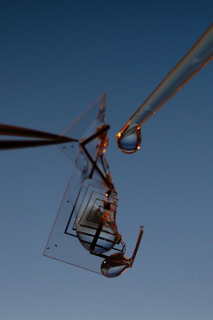 [29/09/2012] Wissenschaftler entwickeln wasserlöslichen Chip. (1)