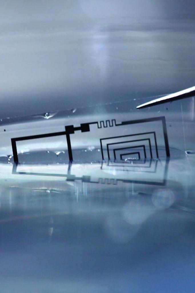 [29/09/2012] Wissenschaftler entwickeln wasserlöslichen Chip. (2)