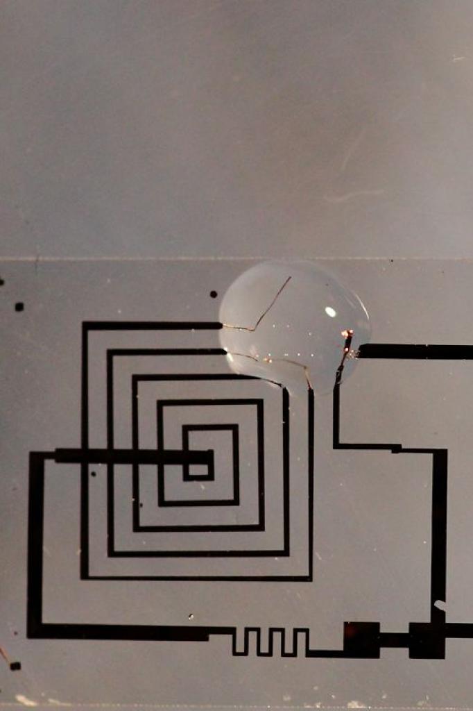 [29/09/2012] Wissenschaftler entwickeln wasserlöslichen Chip. (3)