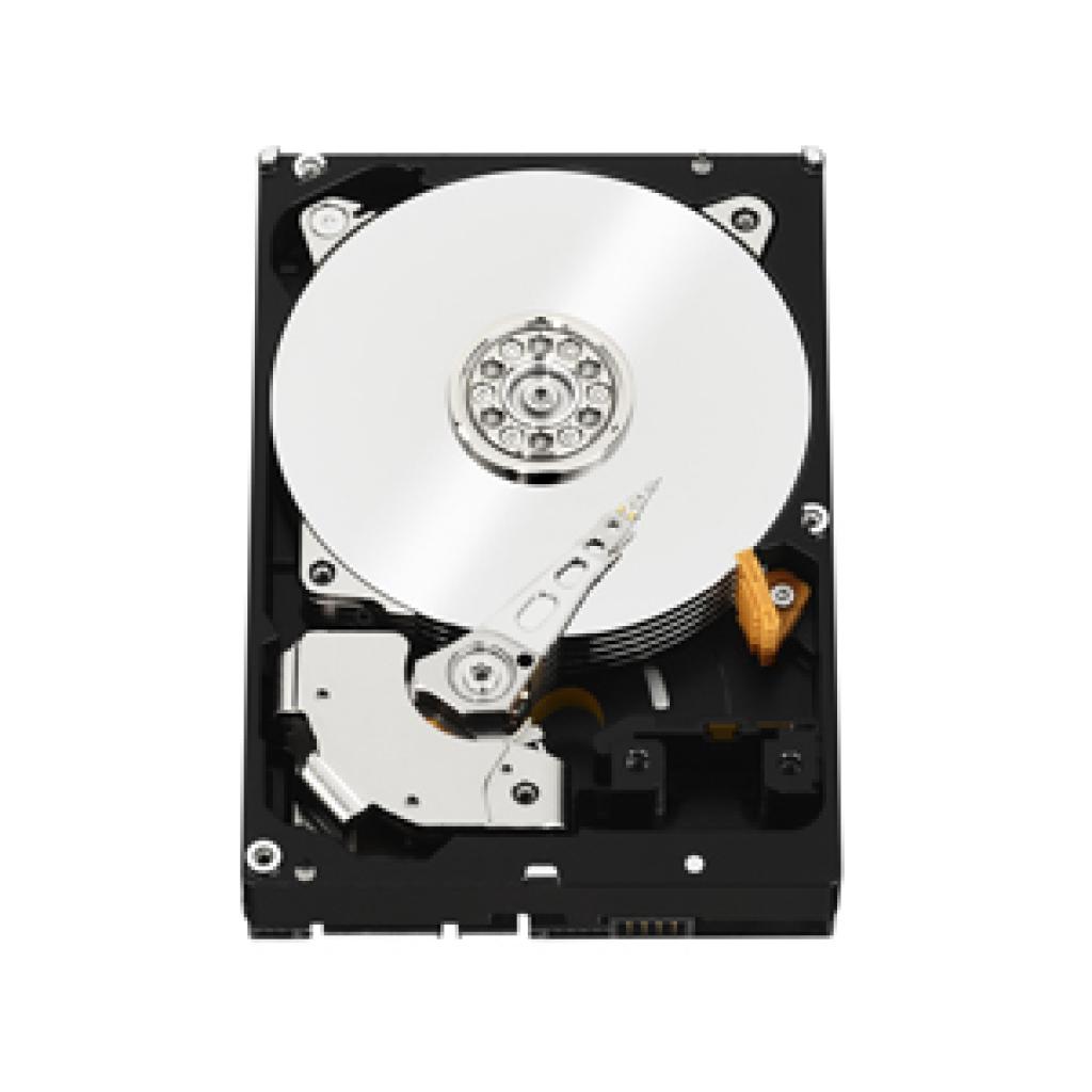 [28/09/2012] 4-TiByte-Festplatte von Western Digital mit SAS-Schnittstelle und 7.200 Umdrehungen pro Minute (2)
