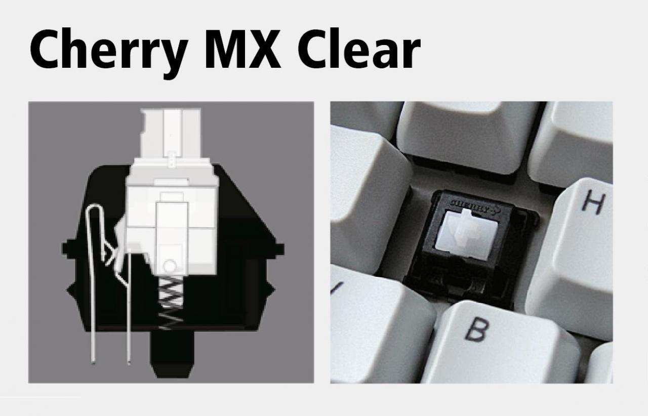 [18/10/2012] Cherry MX CLEAR: Typ: Taktil / Akustisches Feedback: Nein / Auslöseweg: 2 mm / Anschlagsweg: 4 mm / Aktivierungsdruck: 55 g / Eigenschaften: Vom subjektiven Tippgefühl her wird der Schalter oft als die 