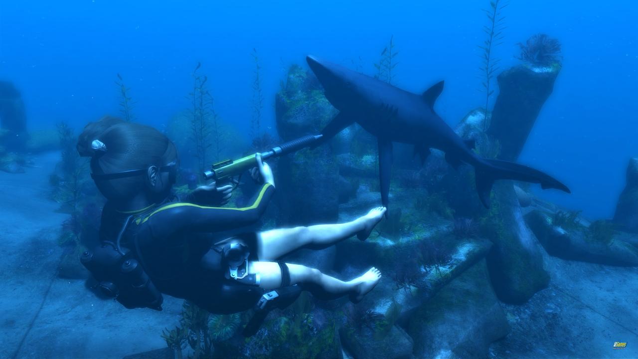 [09/10/2012] Potential zum Bondgirl. Der formschöne Tauchanzug mit den gelben Streifen erinnert an die Abneteuer von 007 - Hai und Harpune natürlich auch.