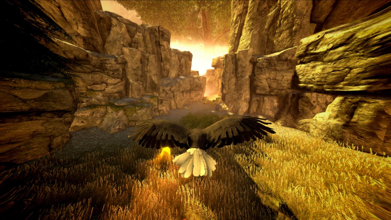 [30/11/2012] Assassin's Creed 3 im Test (9)