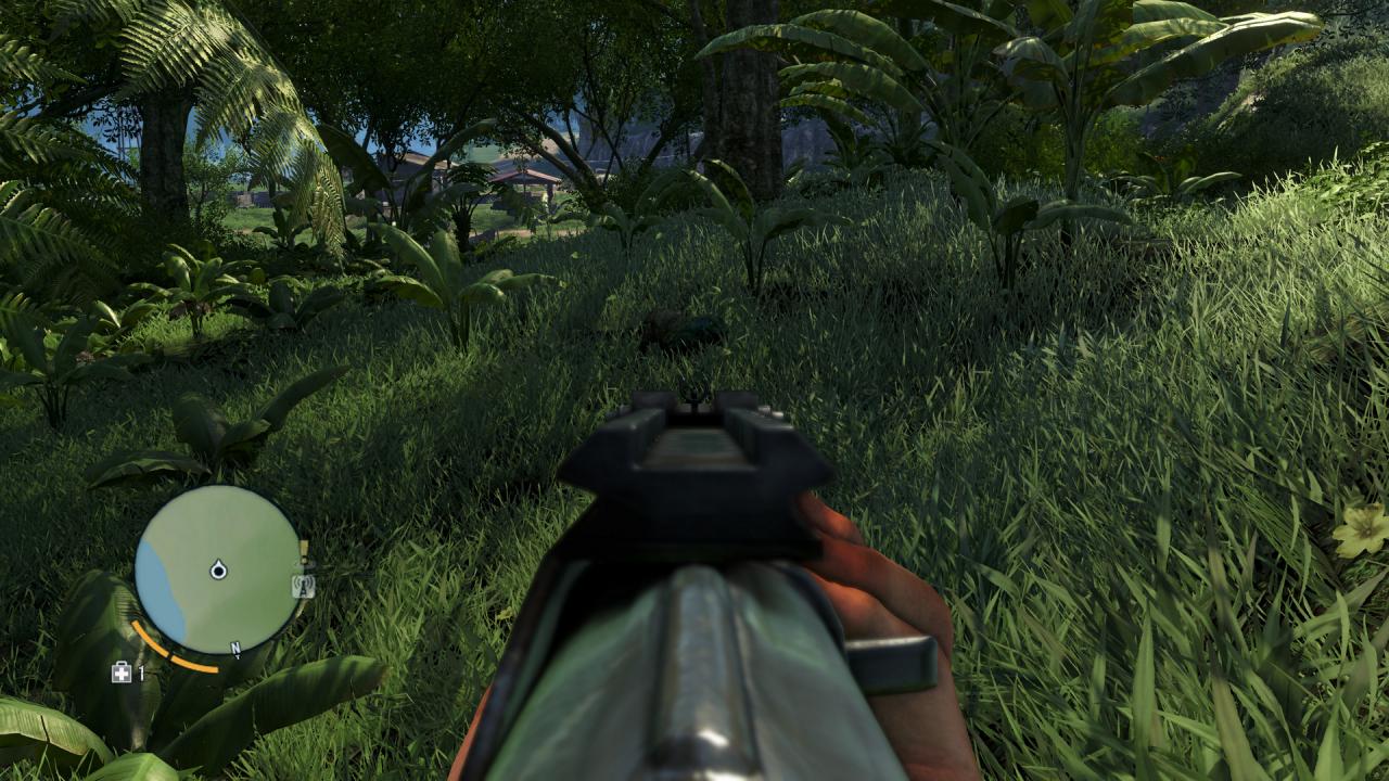 [30/11/2012] Maximale Details mit Downsampling: Far Cry 3 (5)