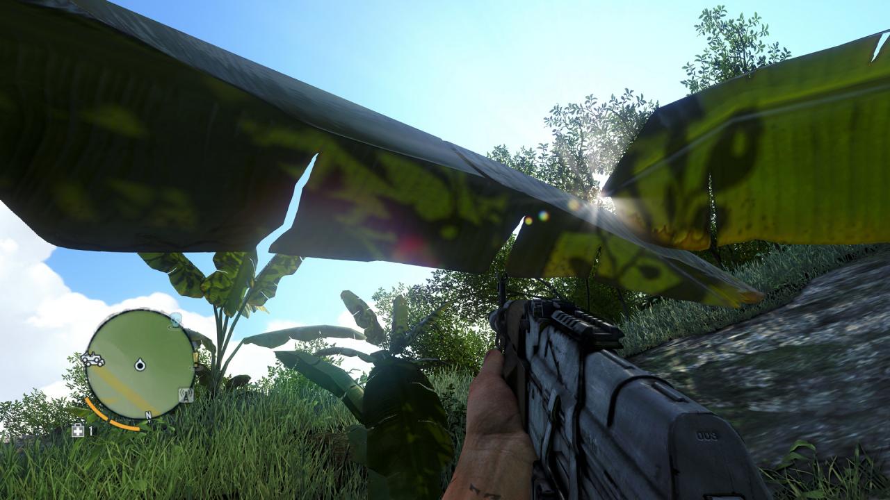 [30/11/2012] Maximale Details mit Downsampling: Far Cry 3 (7)
