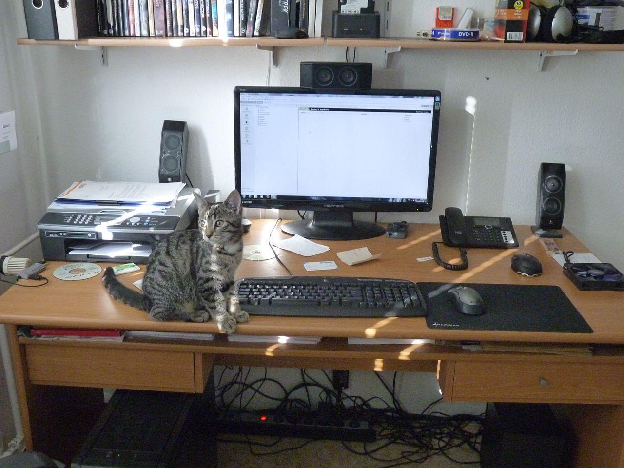 [09/11/2012] Update vom 12.11.: PC mit 6 Bildschirmen, Mainboards als Wandschmuck und mehr (9)