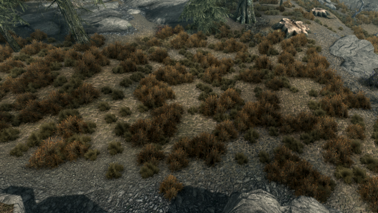 The Elder Scrolls 5 Skyrim: Ambient Occlusion an