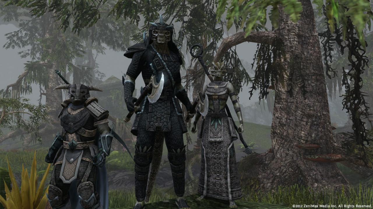 [02/11/2012] The Elder Scrolls Online: Exklusives Interview mit Zenimax über DX11, Multicore und Massenschlachten (11)