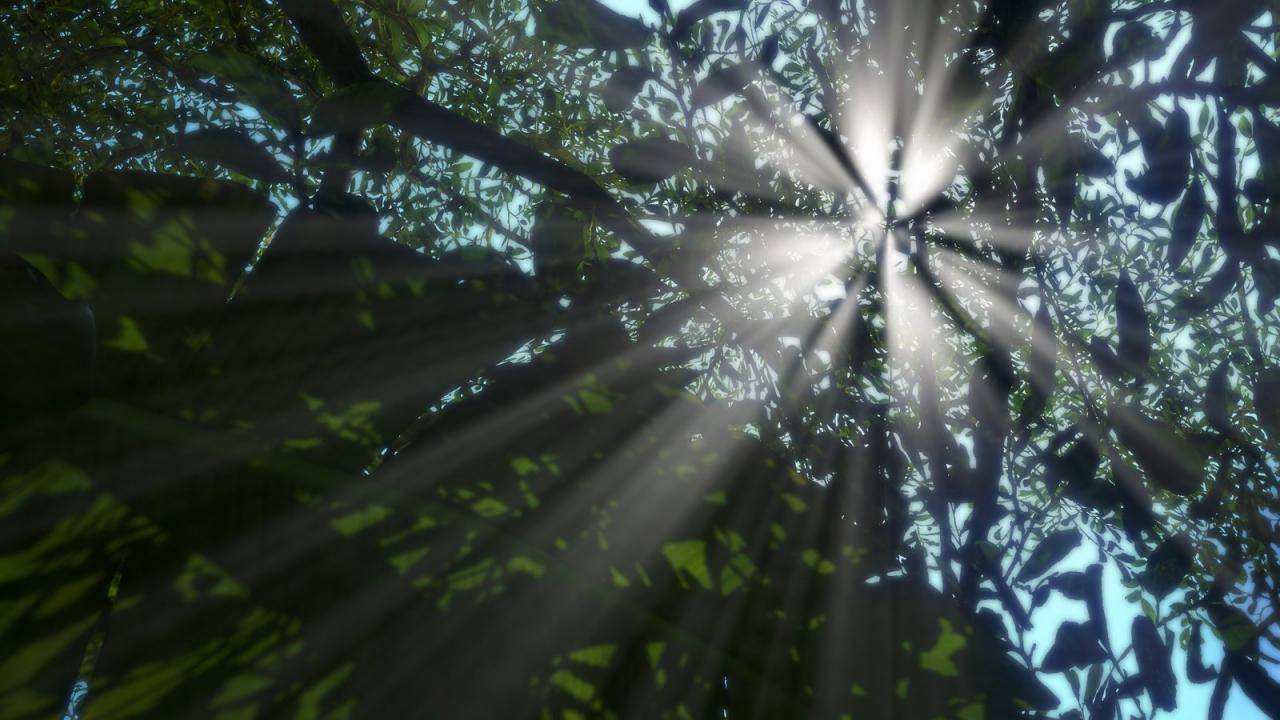 [06/12/2012] Far Cry 3 by Jay.Gee (1)