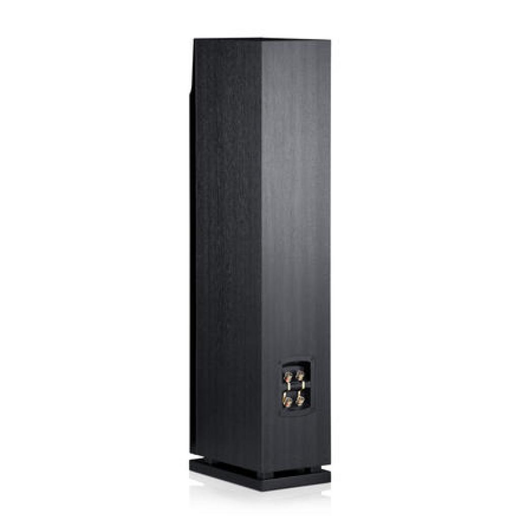 [05/12/2012] Teufel Theater T500 Mk2