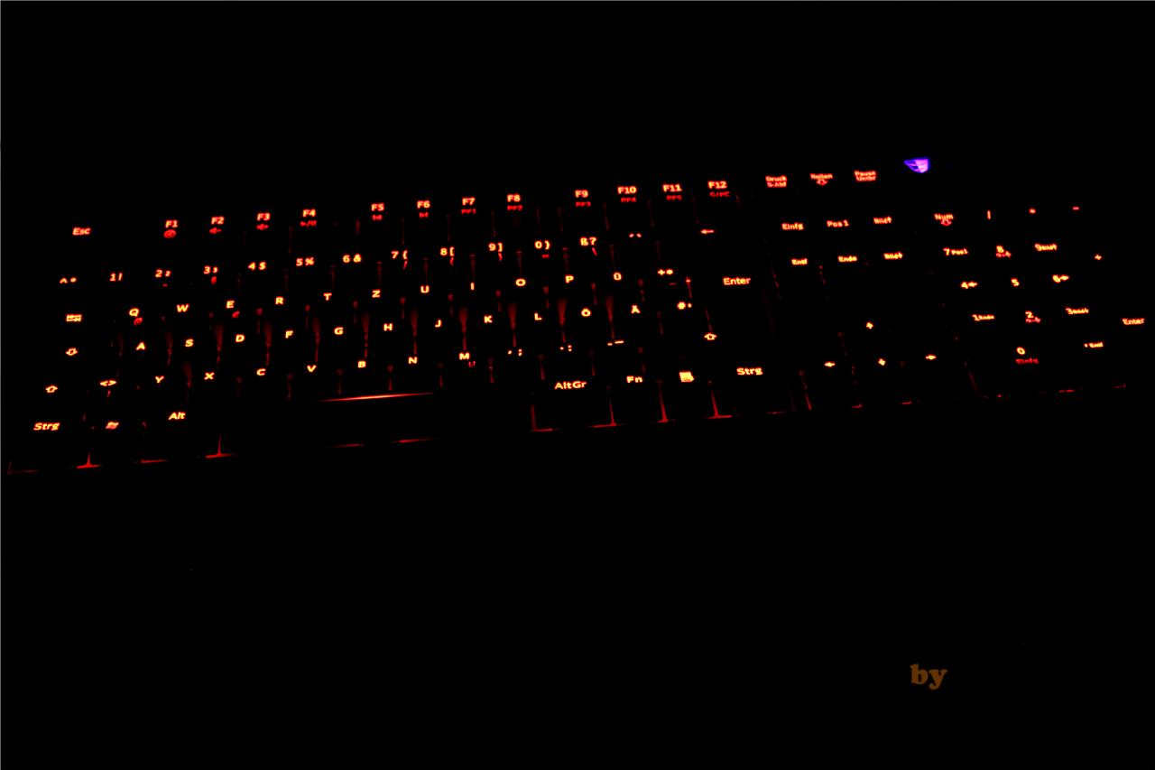 [03/12/2012] Tesoro Durandal Ultimate: Mechanische Tastatur im PCGHX-User-Tes (5)