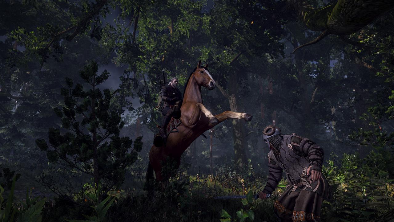 [28/02/2013] The Witcher 3 - Ingame-Screenshots aus dem Rollenspiel (15)