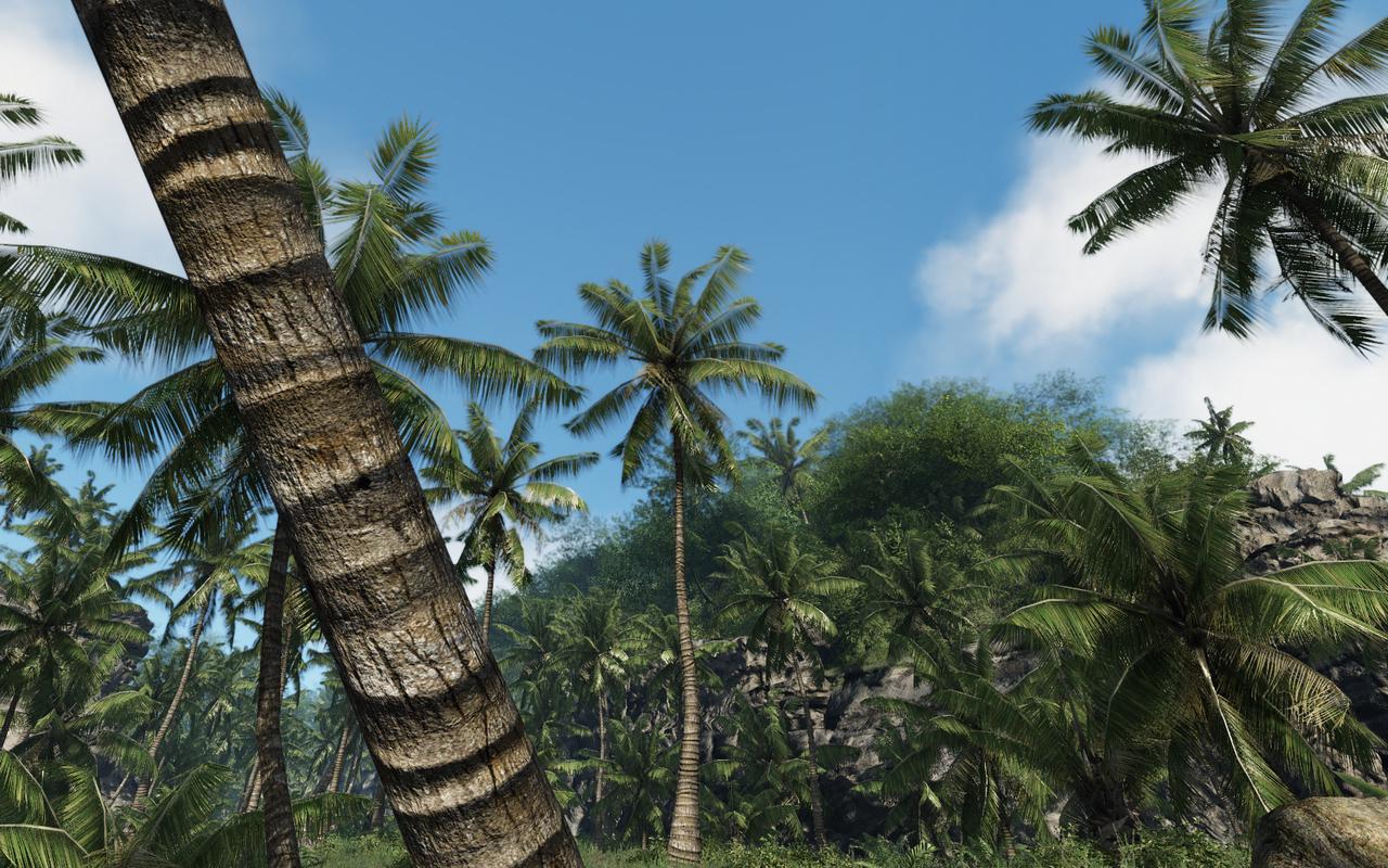 [01/02/2013] Crysis 1 (Bäume)
