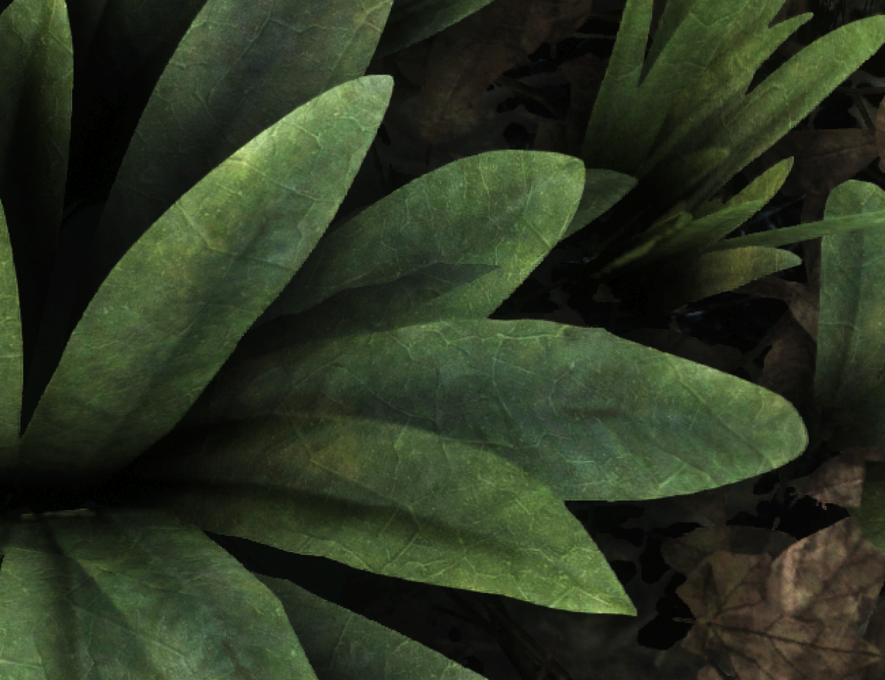 Tessellation