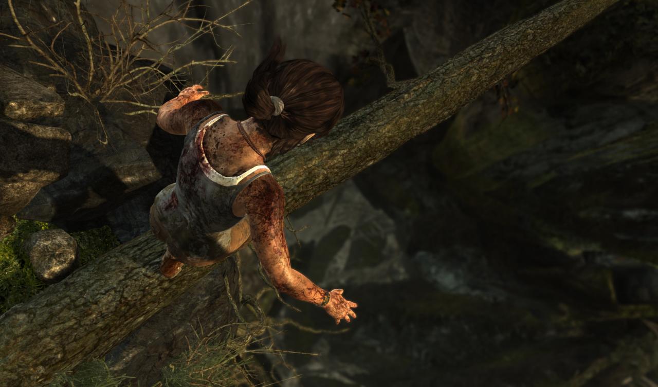 [26/02/2013] Tomb Raider ohne Tress FX (2)