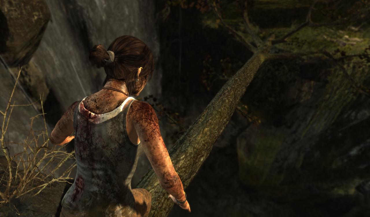 [26/02/2013] Tomb Raider ohne Tress FX (3)