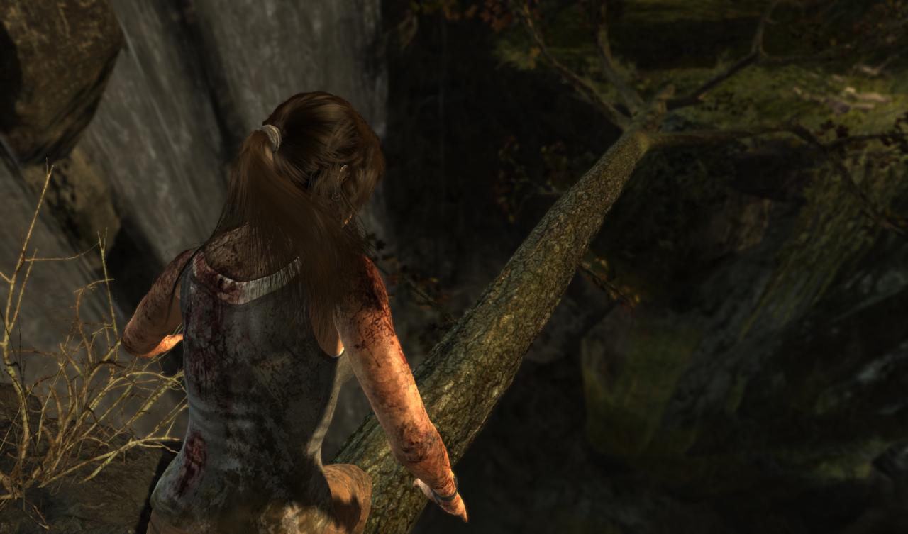 [26/02/2013] Tomb Raider mit Tress FX (3)