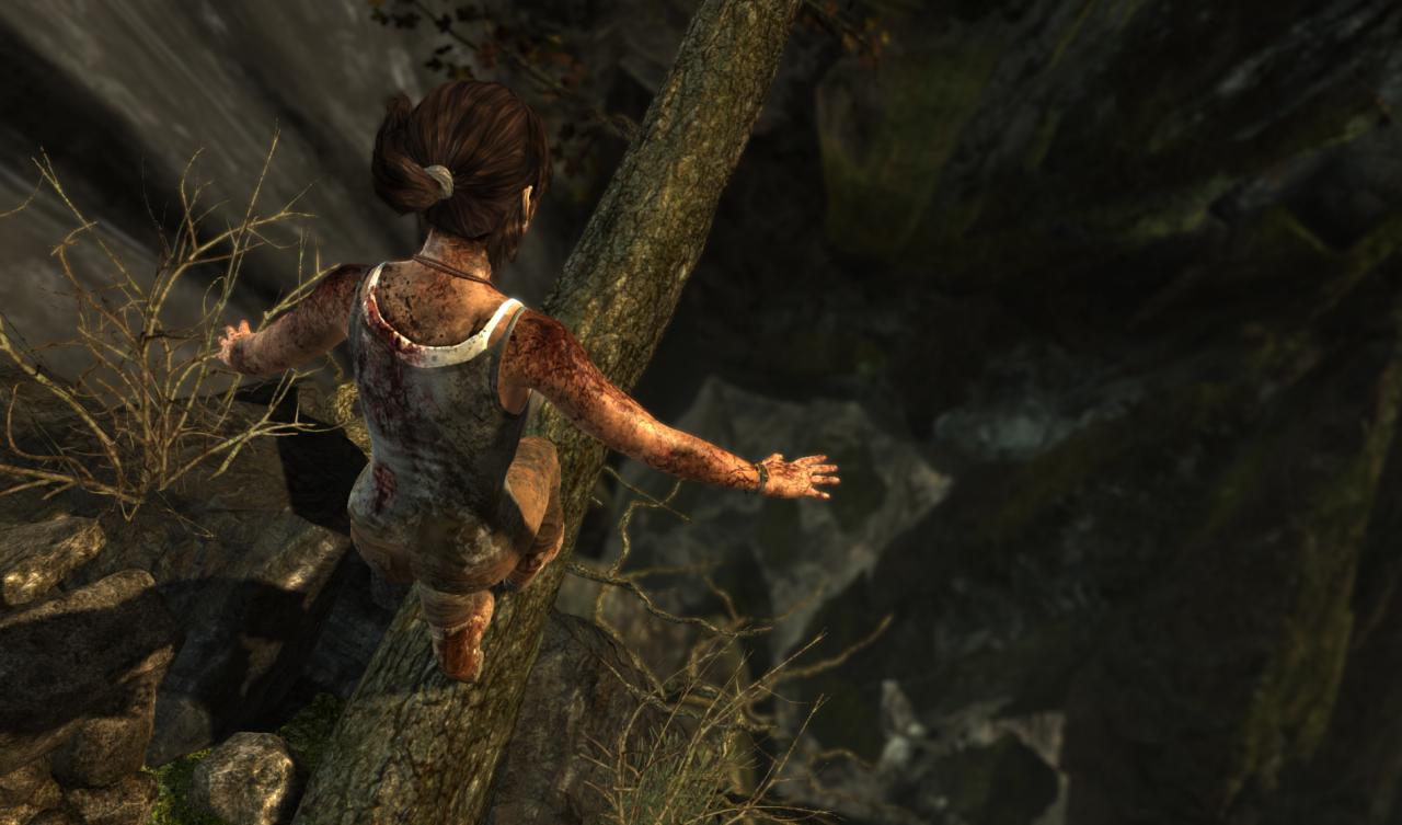 [26/02/2013] Tomb Raider ohne Tress FX (4)