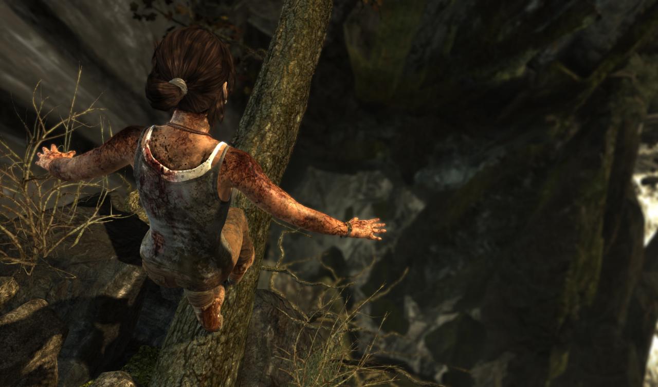 [26/02/2013] Tomb Raider ohne Tress FX (5)