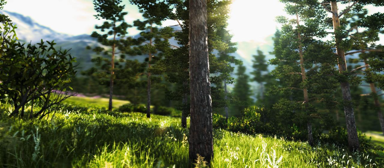 [15/02/2013] Unigine Valley-Benchmark (11)