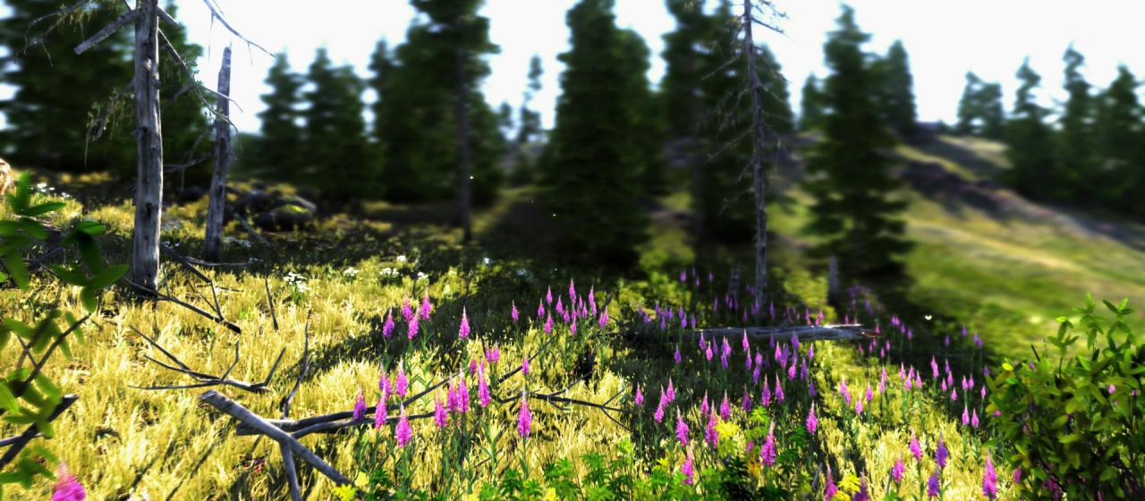 [15/02/2013] Unigine Valley-Benchmark (12)