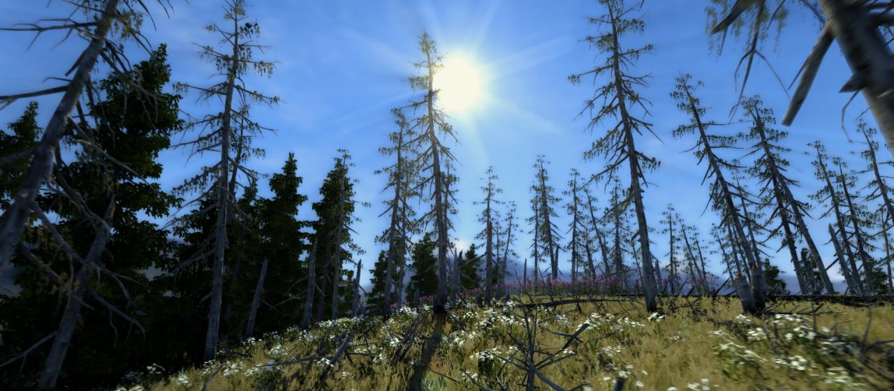 [15/02/2013] Unigine Valley-Benchmark (13)
