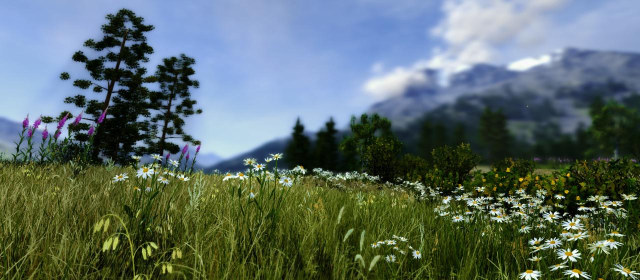 [15/02/2013] Unigine Valley-Benchmark (16)