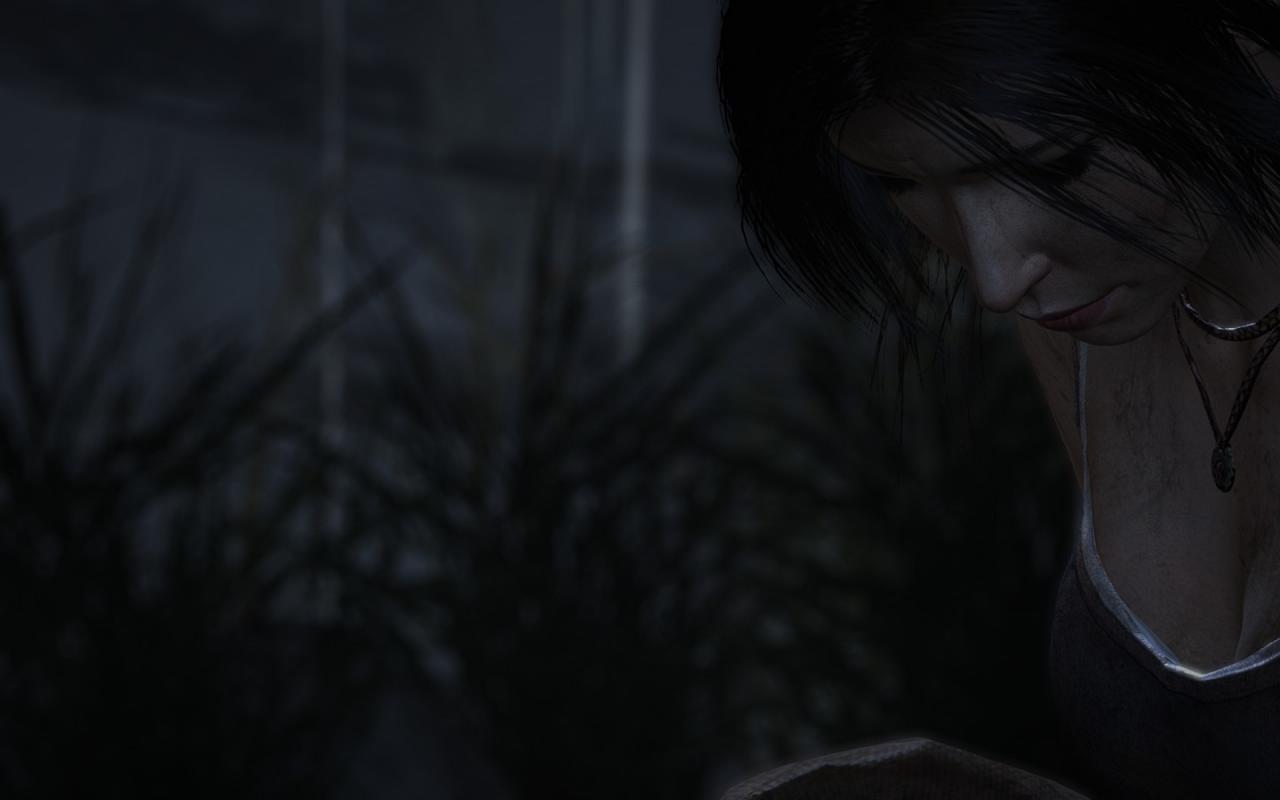 [05/03/2013] Tomb Raider: Die PC-Version im PCGH-Test - Kann die Grafik überzeugen? (8)