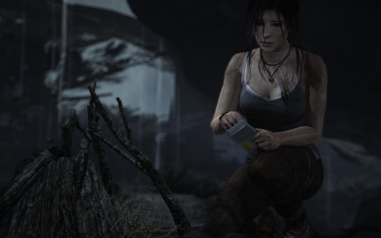 [05/03/2013] Tomb Raider: Die PC-Version im PCGH-Test - Kann die Grafik überzeugen? (9)